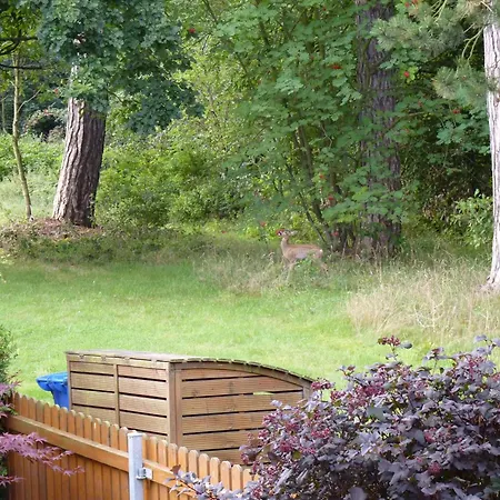 Apartmán 4-personen-ferienwohnung-im-wald-mit-kamin-84-qudratmeter