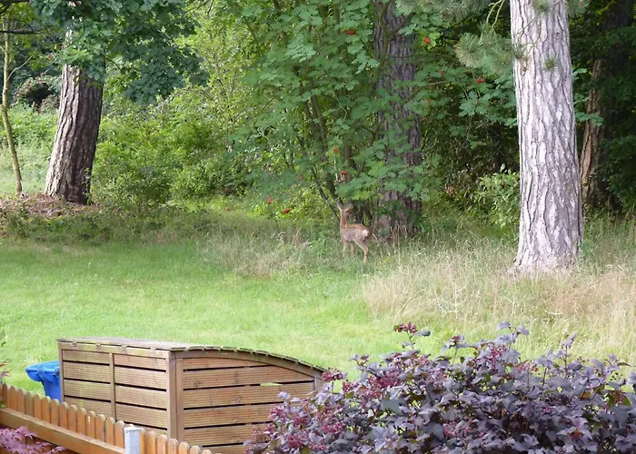 Apartamento 4-personen-ferienwohnung-im-wald-mit-kamin-84-qudratmeter *