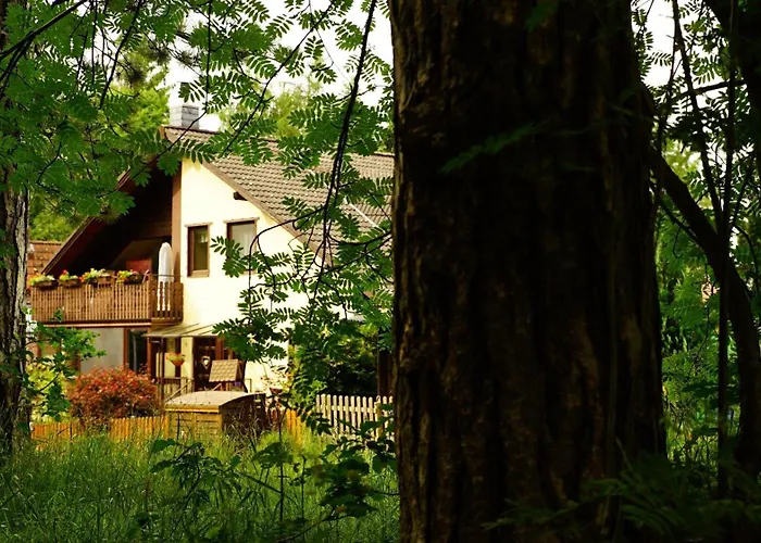 Apartamento 4-personen-ferienwohnung-im-wald-mit-kamin-84-qudratmeter Bad Harzburg