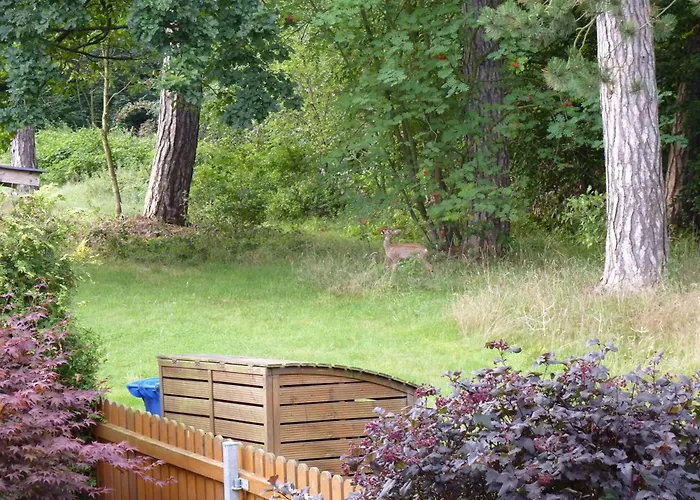 Apartamento 4-personen-ferienwohnung-im-wald-mit-kamin-84-qudratmeter